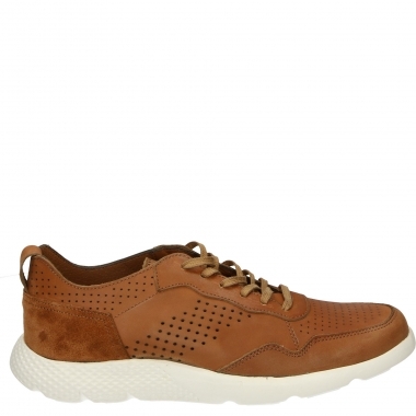 Sportowe, Buty męskie, Obuwie męskie OUTLET VENEZIA Sportowe, Buty męskie, Obuwie męskie OUTLET VENEZIA